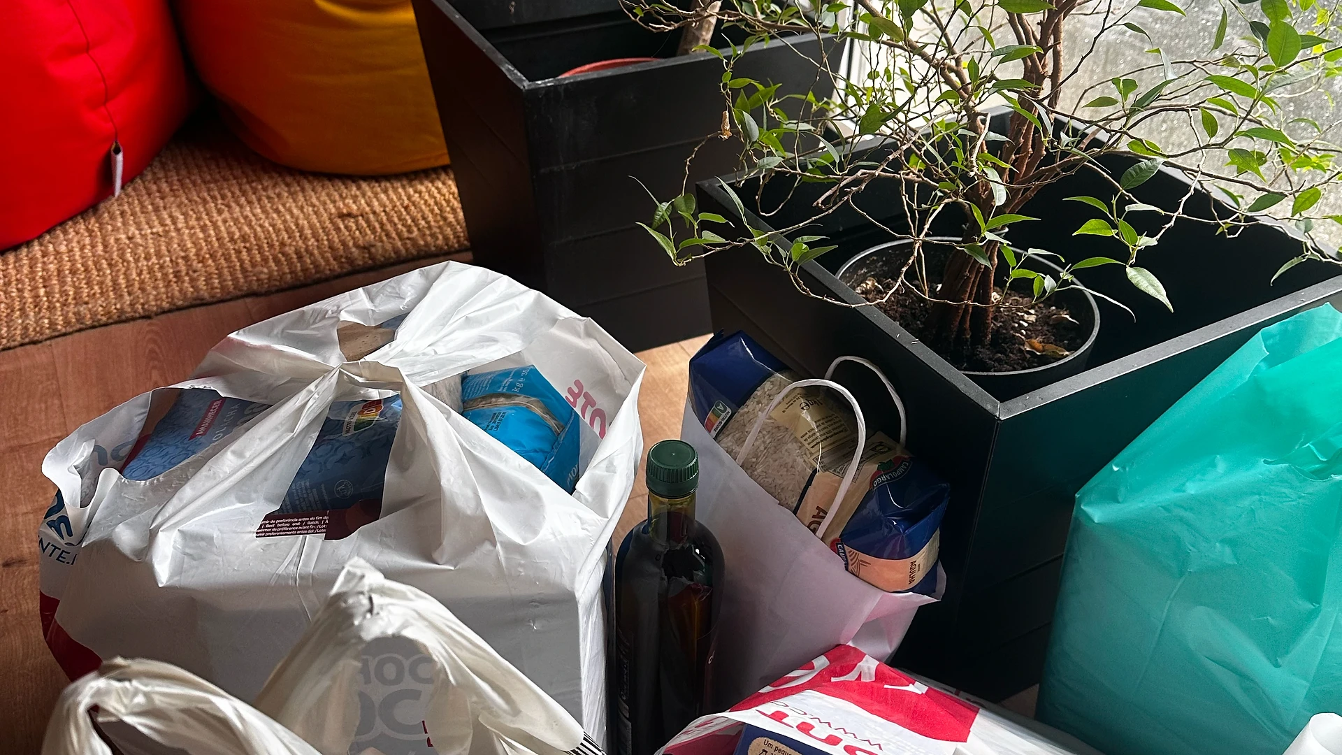 Several printed photos clipped to the Christmas tree branches, including a holiday message wishing a Merry Christmas.
